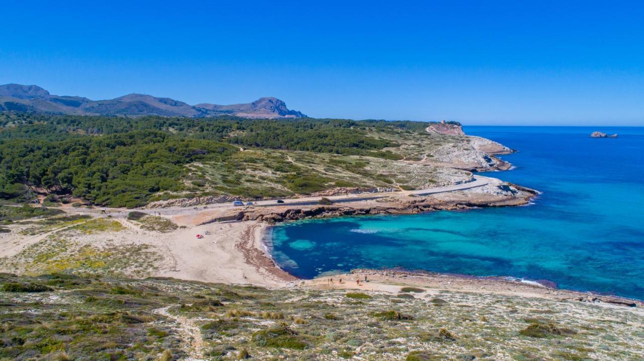 Petit Arta Villa Kültér fotó